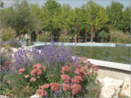 Jardín con estanque
